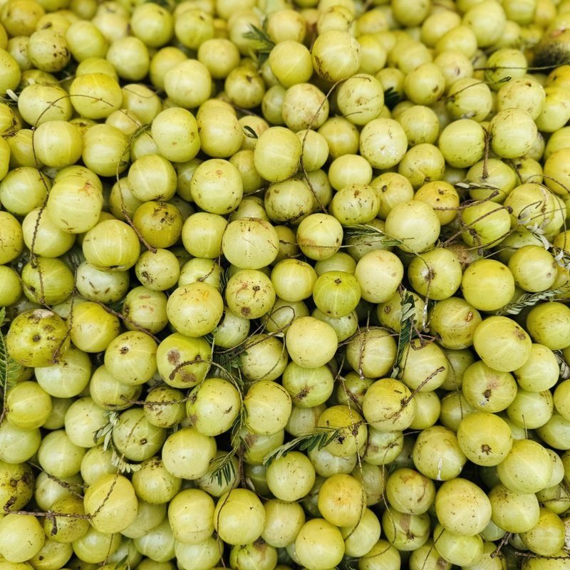 Nellikai Amla Powder